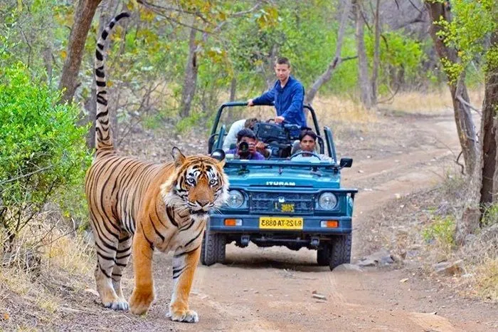 Ranthambore