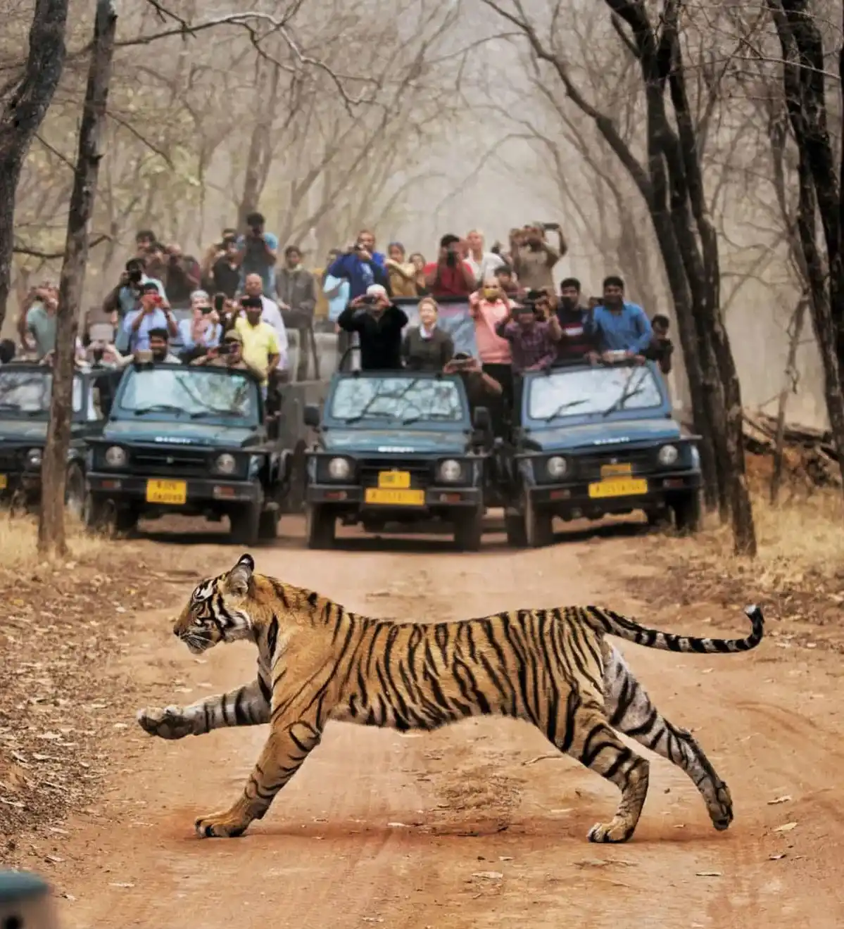 Golden Triangle Tour with Ranthambore