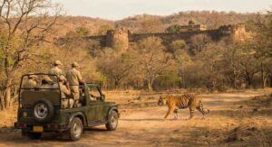 Read more about the article Why Ranthambore is the perfect upgrade to a Golden Triangle Tour