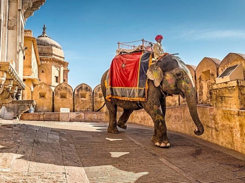 Jaipur Local Tour GUide - Wow Tour Guide