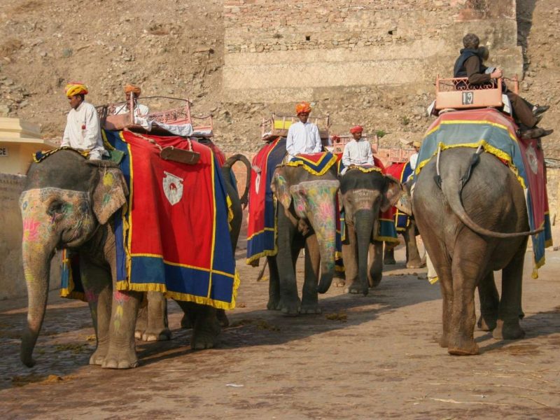 Jaipur Local Tour GUide - Wow Tour Guide